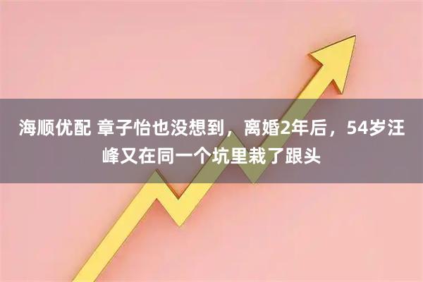 海顺优配 章子怡也没想到，离婚2年后，54岁汪峰又在同一个坑里栽了跟头