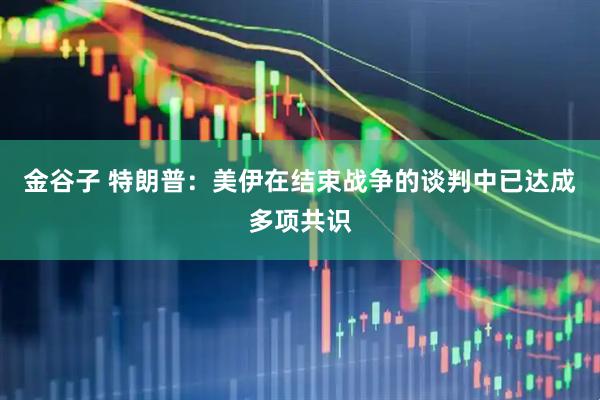 金谷子 特朗普：美伊在结束战争的谈判中已达成多项共识