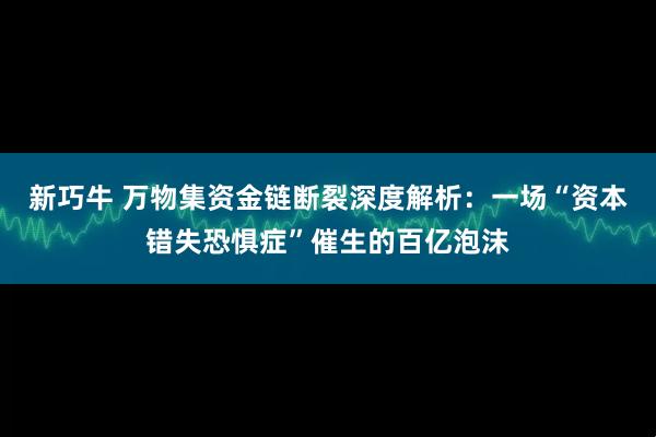 新巧牛 万物集资金链断裂深度解析：一场“资本错失恐惧症”催生的百亿泡沫