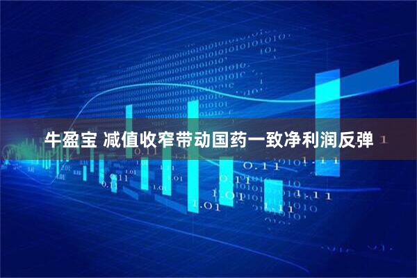 牛盈宝 减值收窄带动国药一致净利润反弹