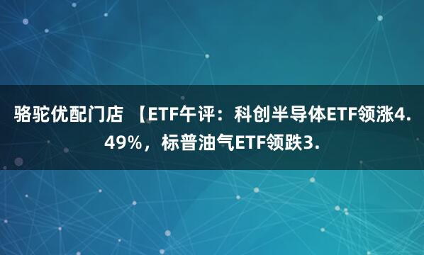 骆驼优配门店 【ETF午评：科创半导体ETF领涨4.49%，标普油气ETF领跌3.