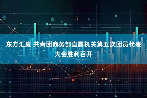 东方汇赢 共青团商务部直属机关第五次团员代表大会胜利召开