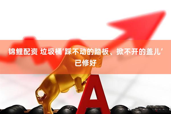 锦鲤配资 垃圾桶‘踩不动的踏板、掀不开的盖儿’已修好