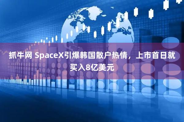 抓牛网 SpaceX引爆韩国散户热情，上市首日就买入8亿美元