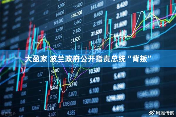 大盈家 波兰政府公开指责总统“背叛”