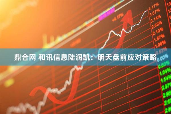鼎合网 和讯信息陆润凯：明天盘前应对策略
