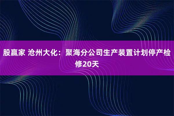 股赢家 沧州大化：聚海分公司生产装置计划停产检修20天