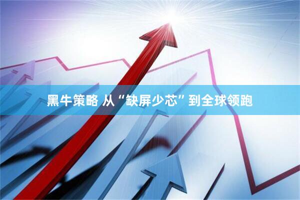 黑牛策略 从“缺屏少芯”到全球领跑