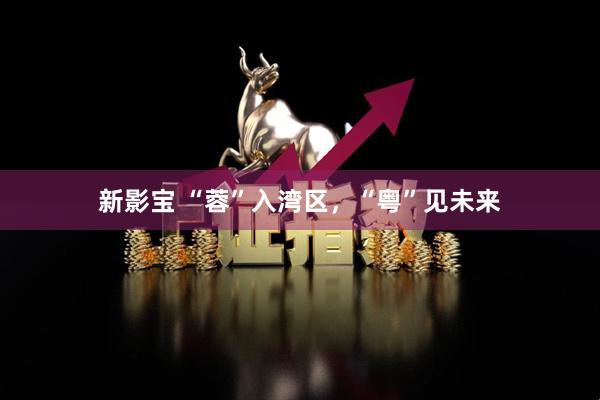 新影宝 “蓉”入湾区，“粤”见未来